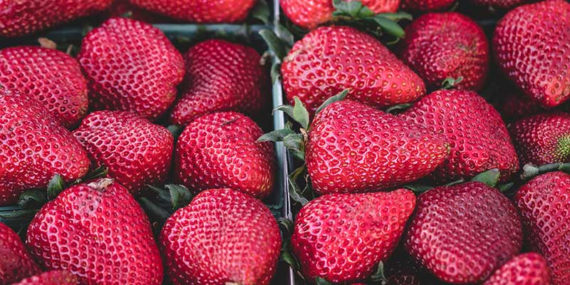 strawberries in pallets