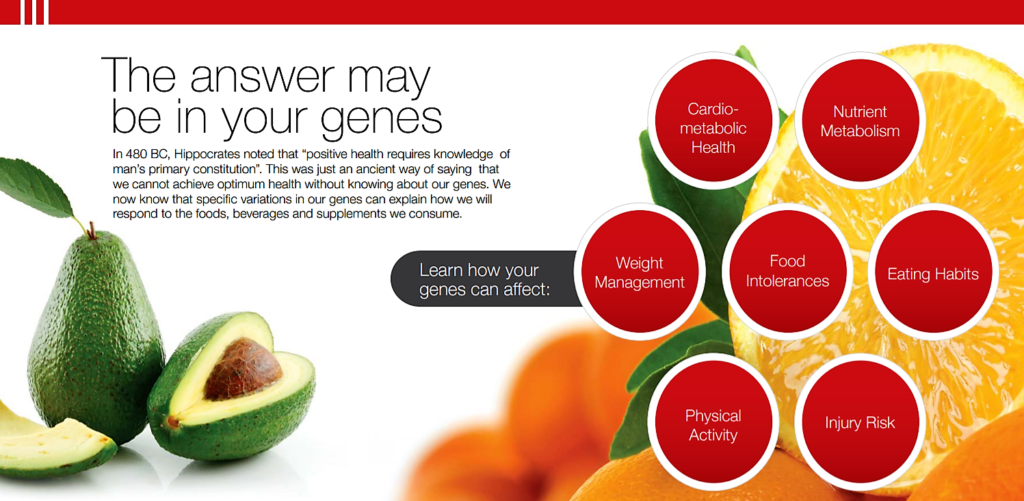avocado and orange advertising genetic testing