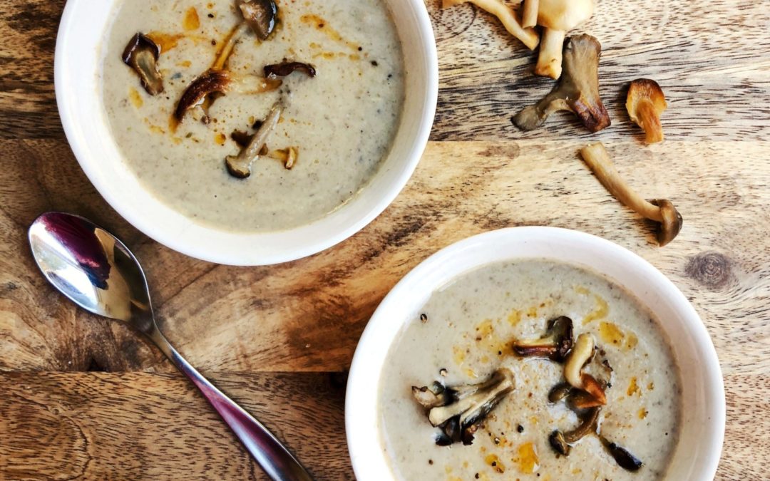 two bowls of mushroom soup