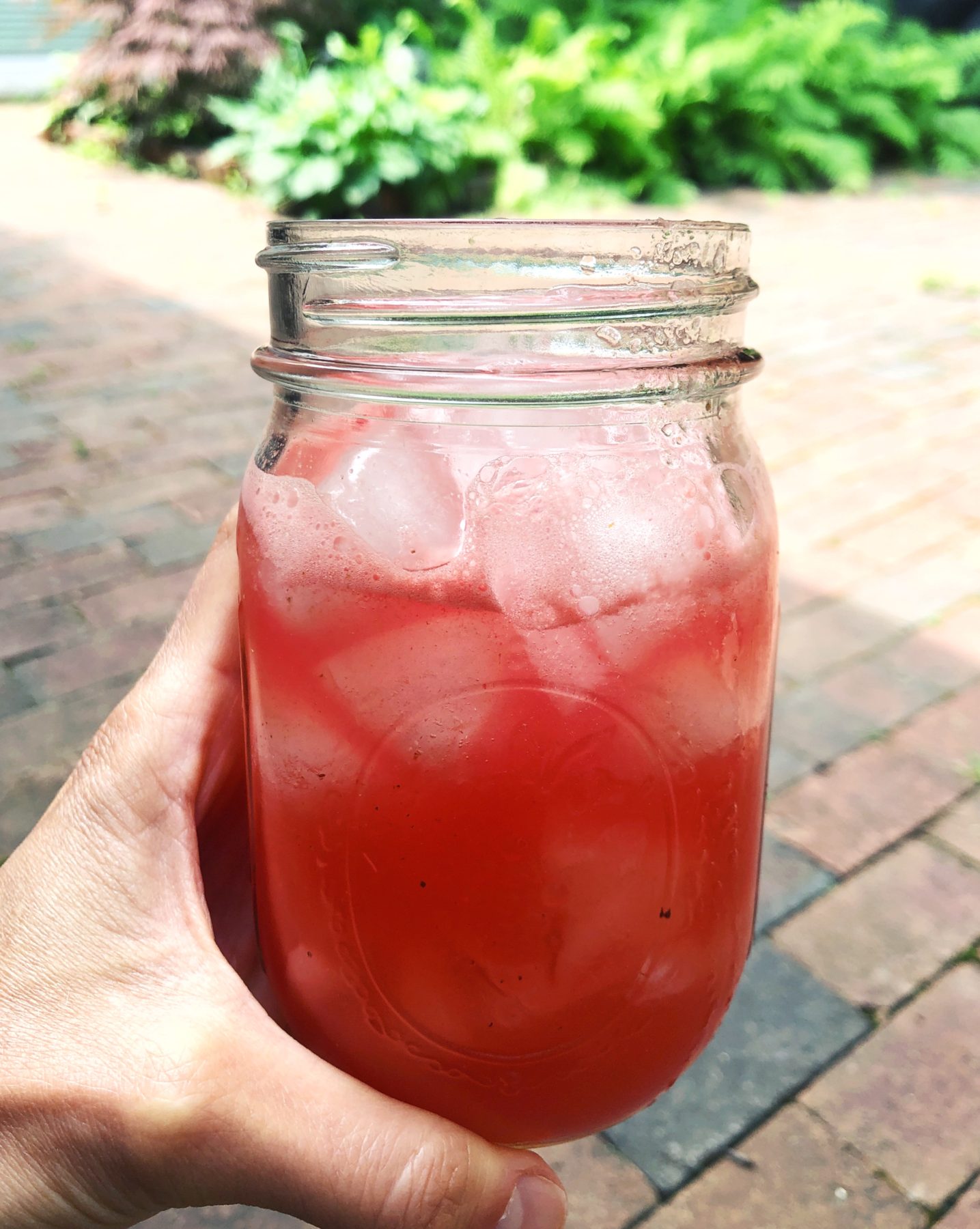 Watermelon Hydration Drink