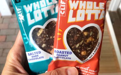 McDaniel’s Bite-Sized Reviews | Clif Whole Lotta Bars