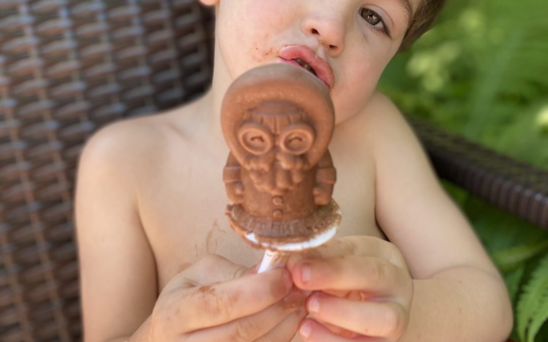 boy holding a fudge popsicle