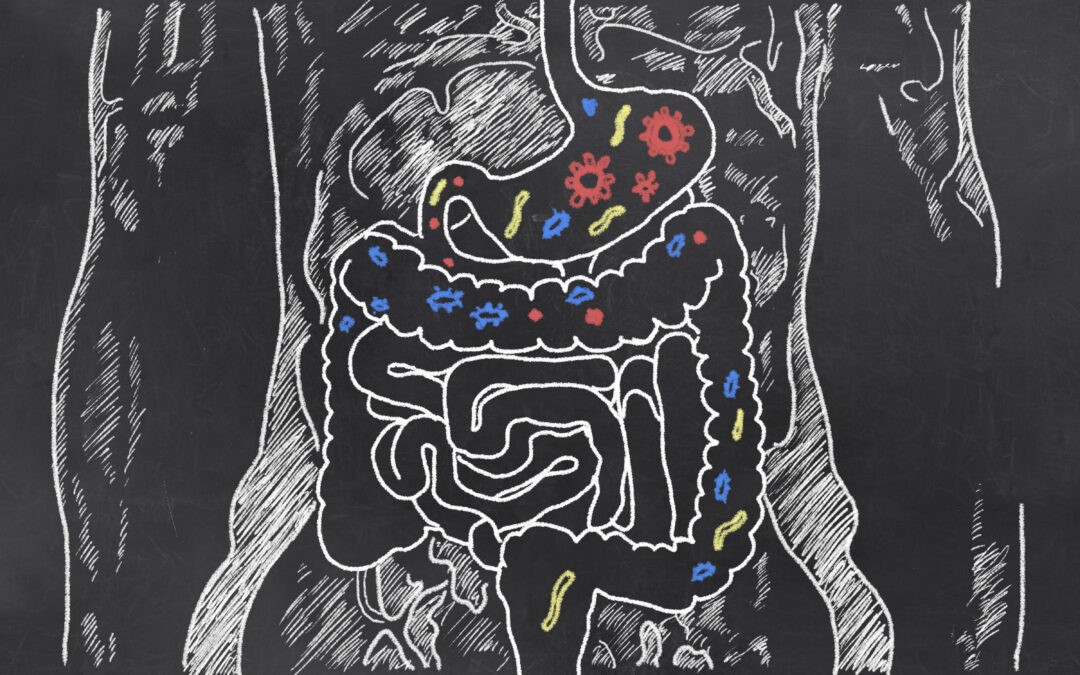 an illustration of the gut microbiome, the building block of the gut-brain connection