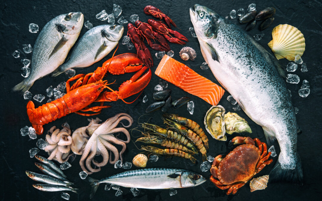 arrangement of fresh fish showing health benefits of seafood