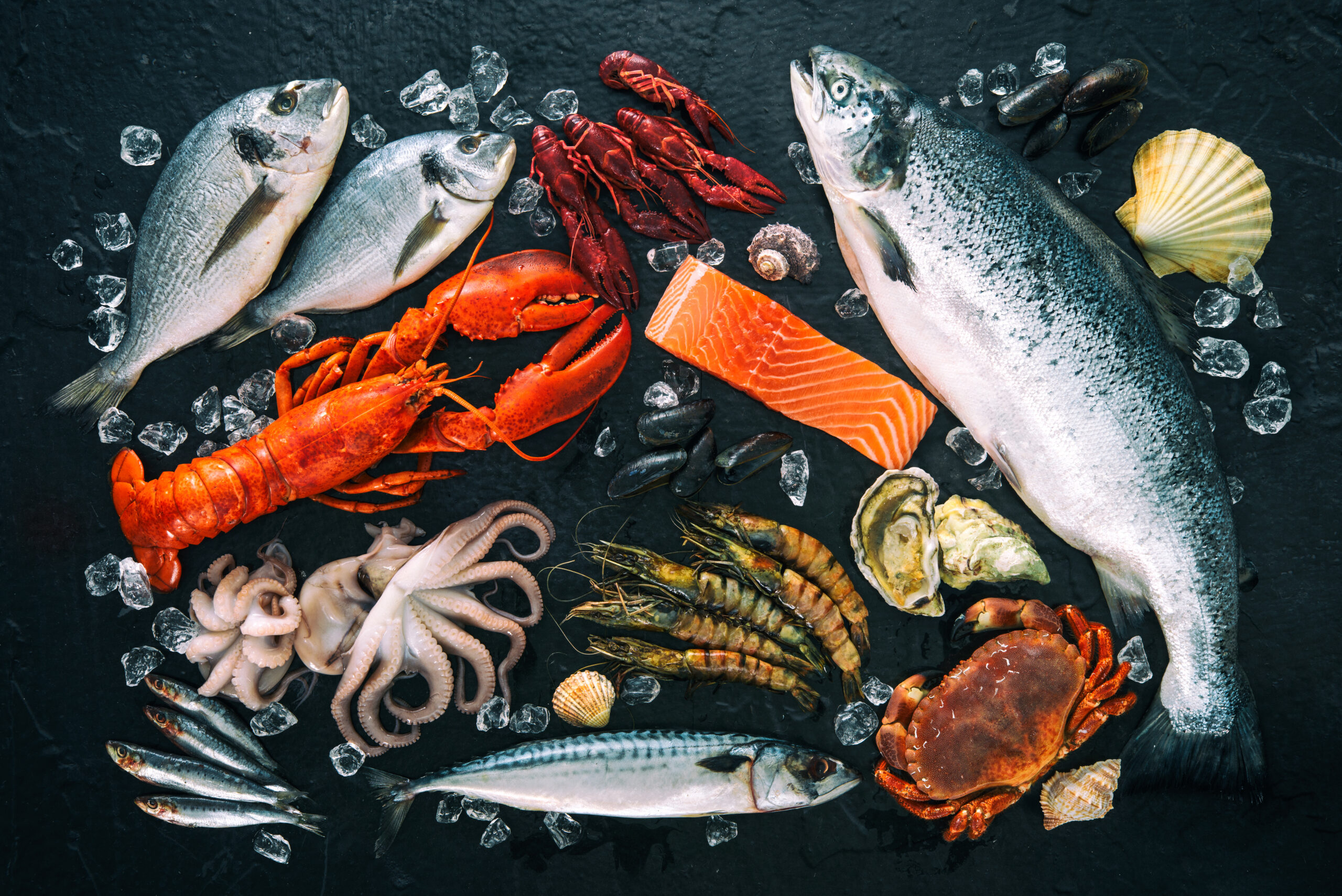 A Guide to the Benefits of Eating Seafood