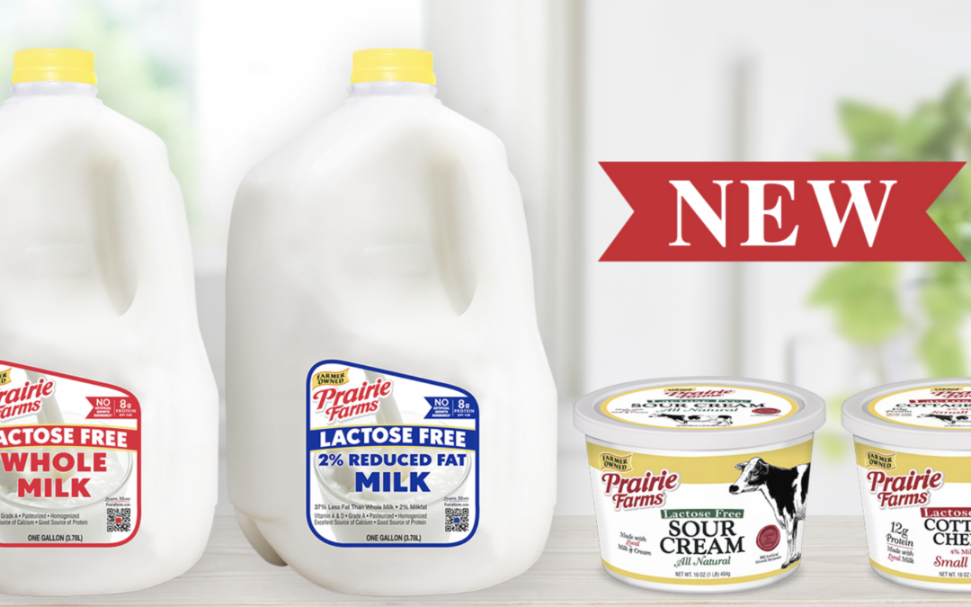 lactose free milk, cottage cheese and sour cream from prairie farms