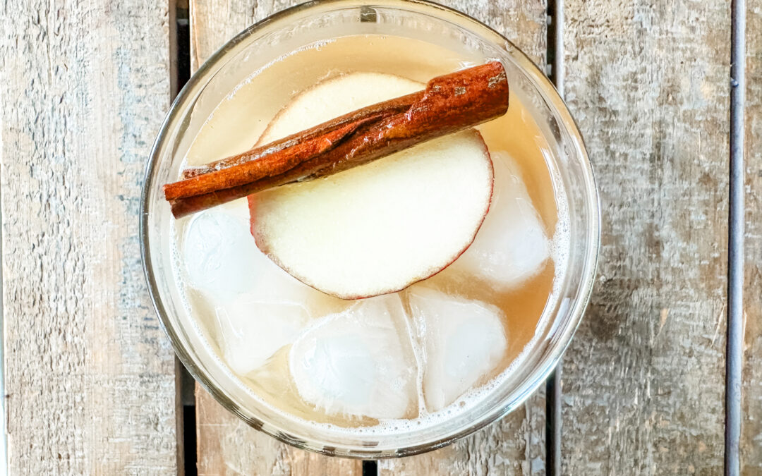 overhead shot of apple cider, apple, cinnamon stick and ice in a clear glass