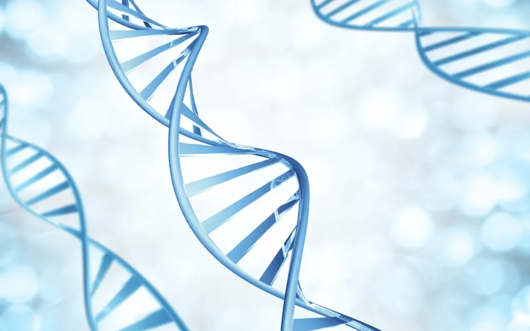 DNA strands representing the role of the MTHFR gene