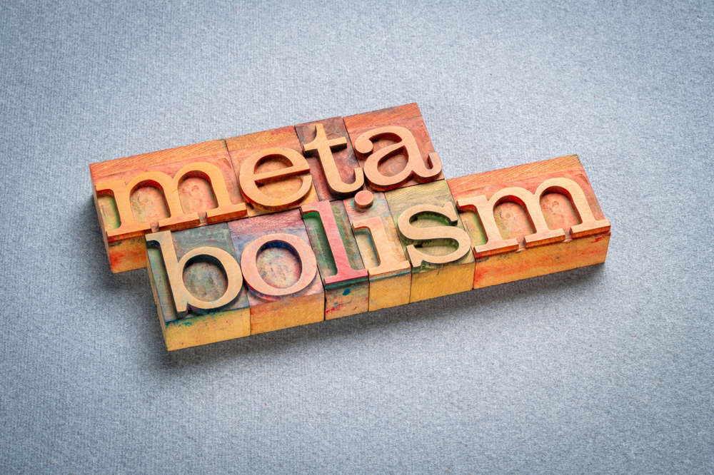 Word art of Metabolism in wooden blocks