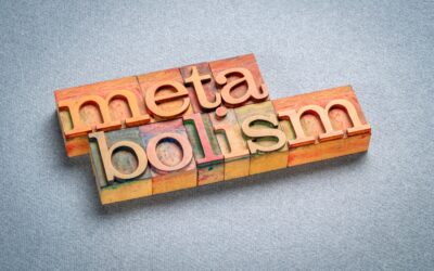 Is Your Metabolism Really Broken During Menopause? A St. Louis Dietitian Explains